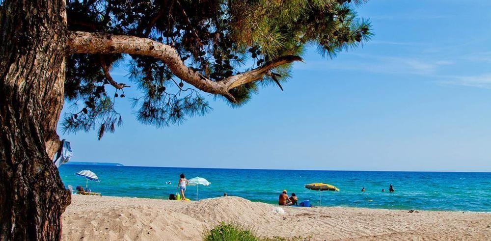Hotel Melissanthi Paralia Dionysiou Dış mekan fotoğraf